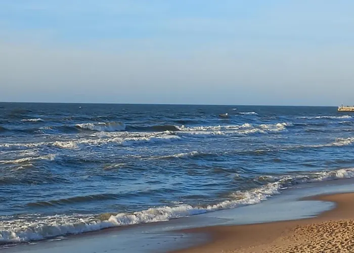 Sea View פלאנגה